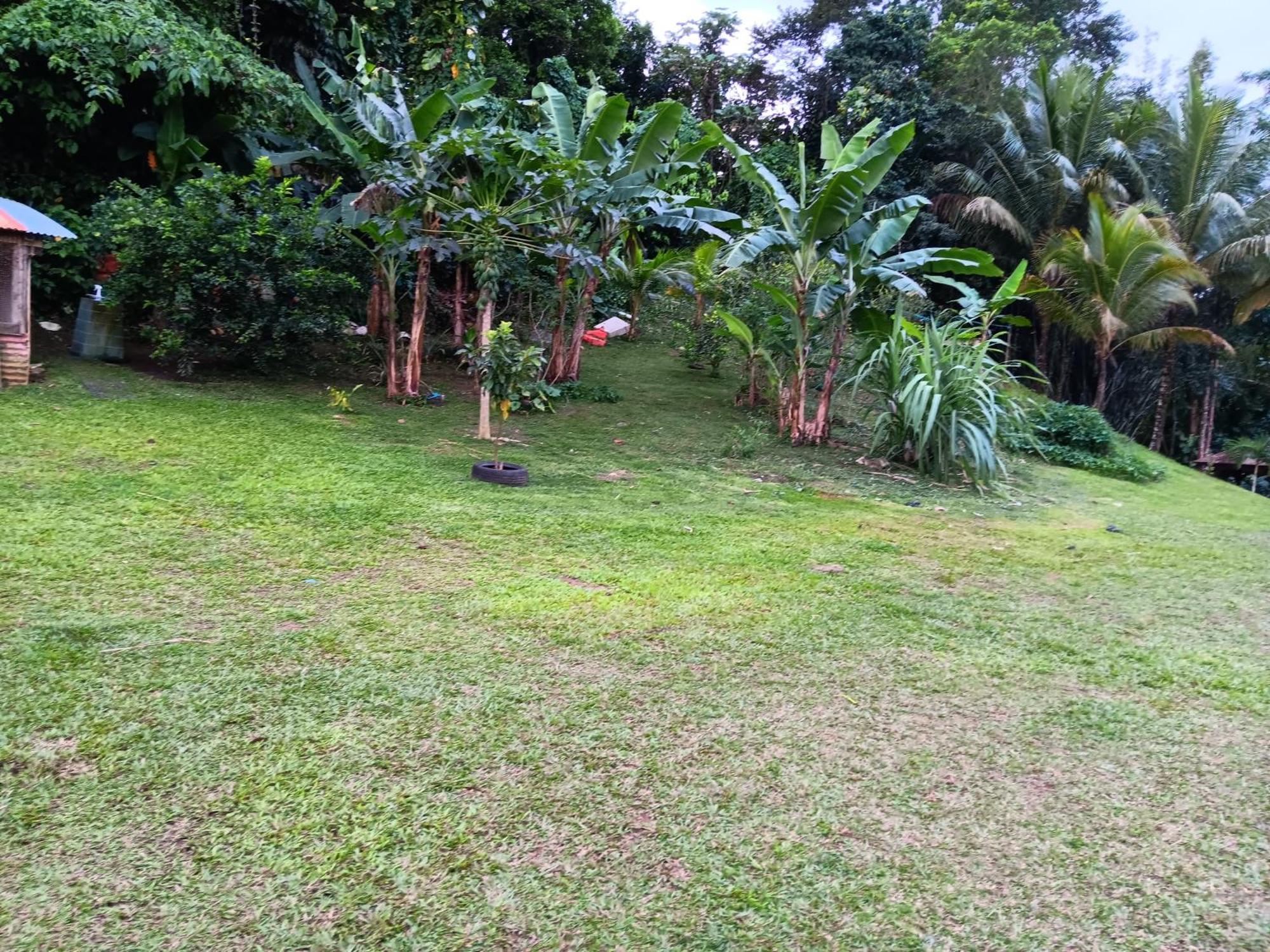 Villa Beauci-Turlet Goyave المظهر الخارجي الصورة
